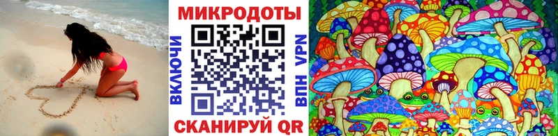 купить наркоту  Дубовка  Галлюциногенные грибы Magic Shrooms 